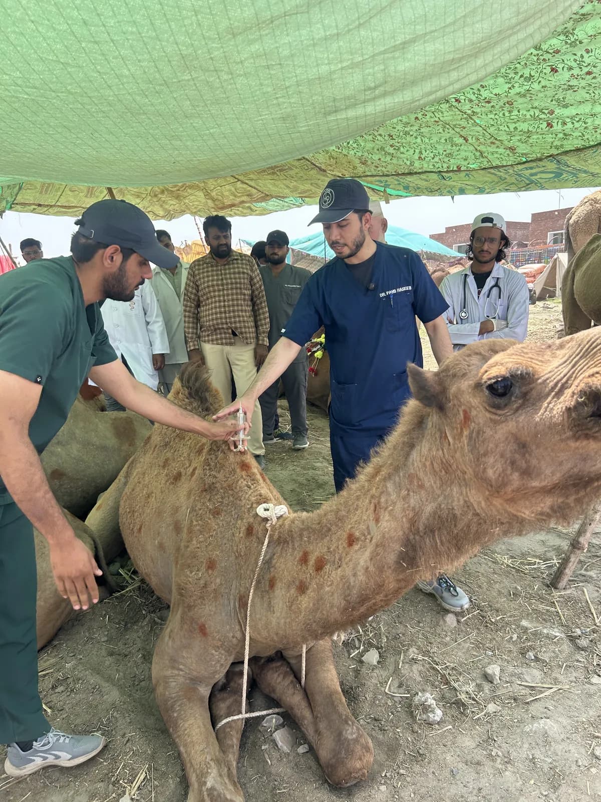 Dr. Muhammad Ahmad performing a home vet checkup on a dog in Lahore